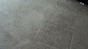 xsiteability.com - DAKKOTA LUCKY CHARM MISSES BIG GAAME BY ROPES PART 1 thumbnail